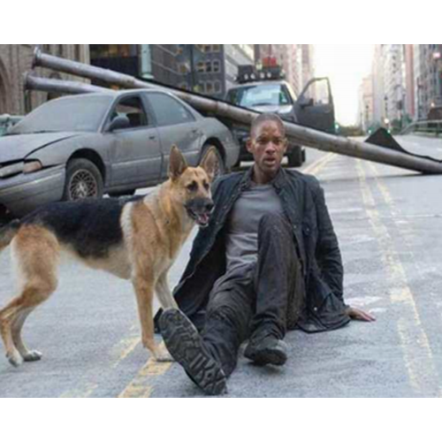 Kakšne so značilnosti najbolj prodajanih vojaških škornjev na francoskem trgu?