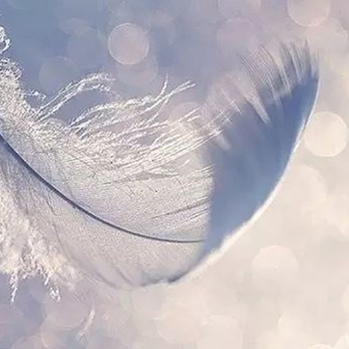 A MILFORCE k&ouml;nnyű katonai csizma - 7276 sivatagi csizma