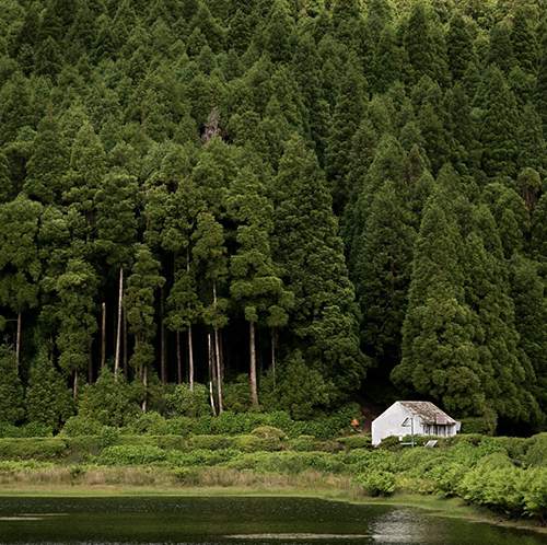 سبک بازار آمریکایی Ⅵ - چکمه های جنگلی مبارزه کنید