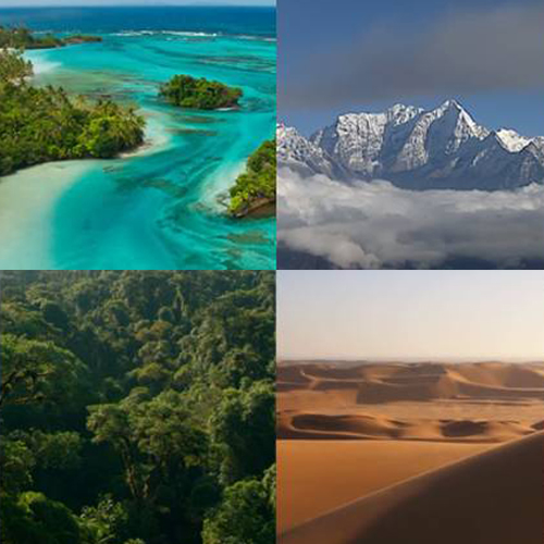 A cosa servono diversi stivali militari in ambienti diversi?